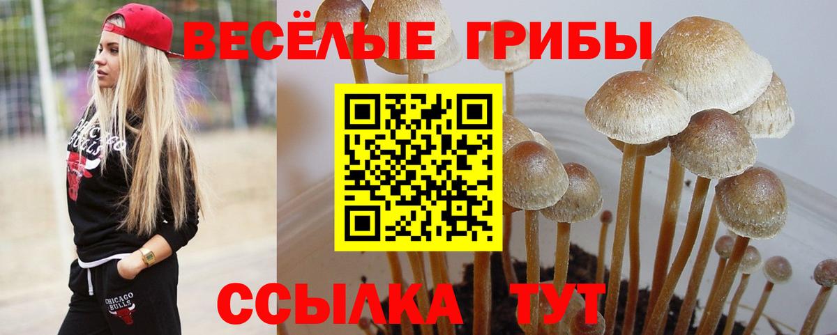 Киреевск  Галлюциногенные грибы ЛСД  Вход с VPN 